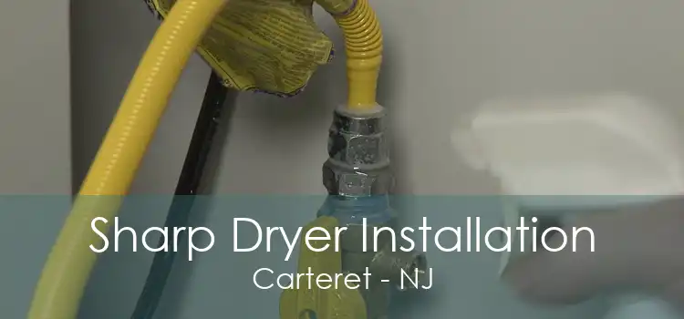 Sharp Dryer Installation Carteret - NJ