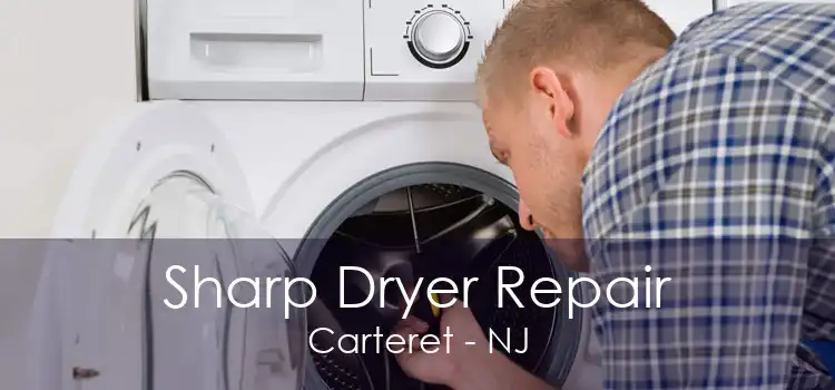 Sharp Dryer Repair Carteret - NJ