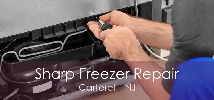 Sharp Freezer Repair Carteret - NJ