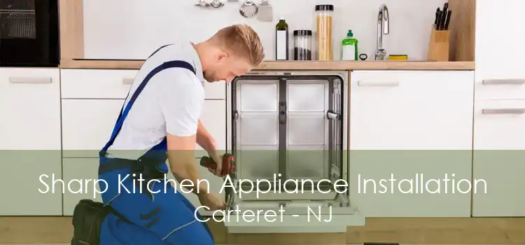 Sharp Kitchen Appliance Installation Carteret - NJ