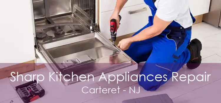 Sharp Kitchen Appliances Repair Carteret - NJ