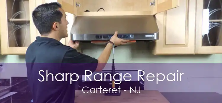 Sharp Range Repair Carteret - NJ