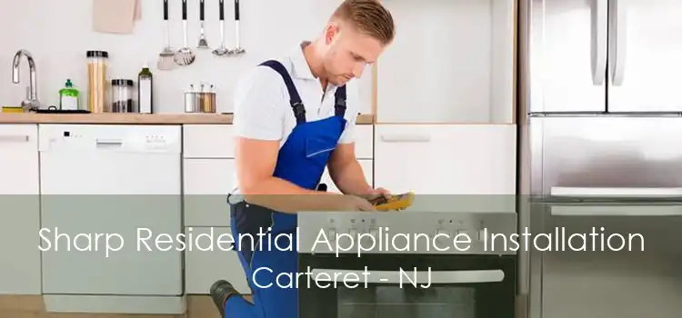 Sharp Residential Appliance Installation Carteret - NJ