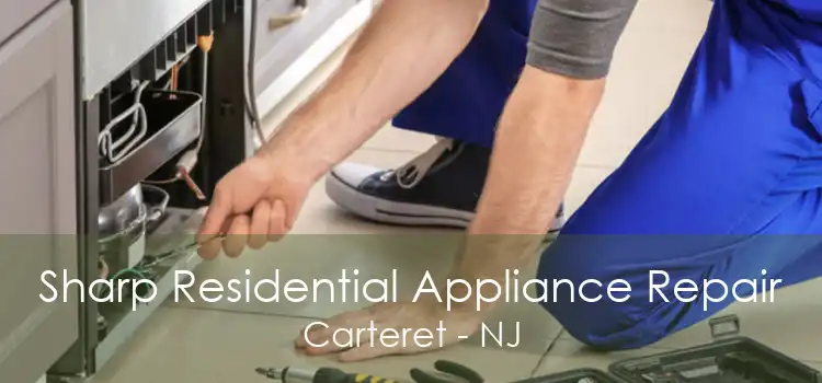 Sharp Residential Appliance Repair Carteret - NJ