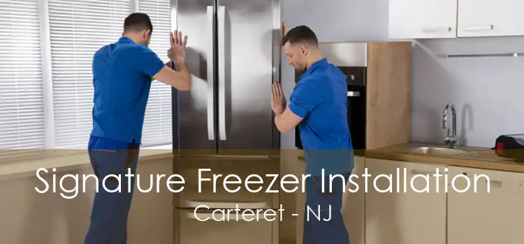 Signature Freezer Installation Carteret - NJ