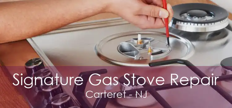 Signature Gas Stove Repair Carteret - NJ