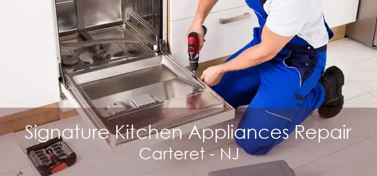 Signature Kitchen Appliances Repair Carteret - NJ