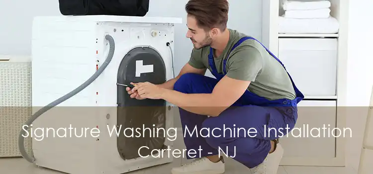 Signature Washing Machine Installation Carteret - NJ