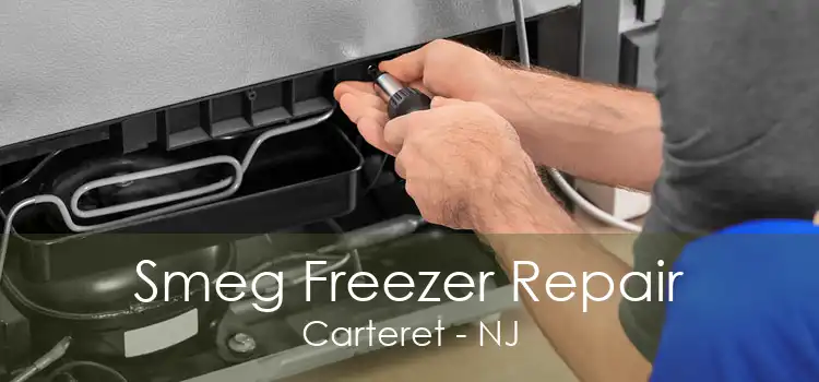 Smeg Freezer Repair Carteret - NJ