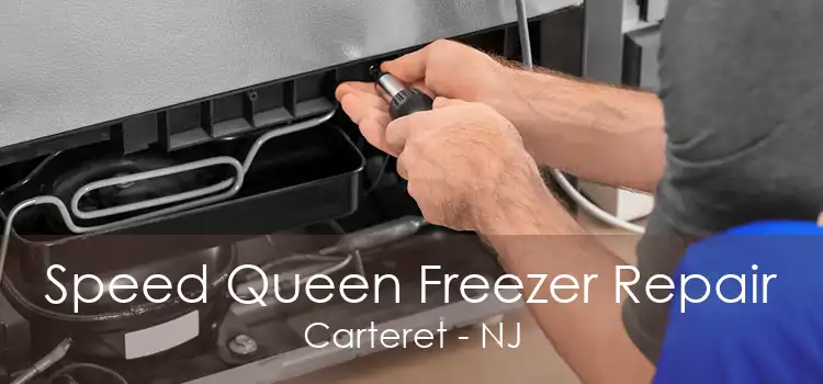 Speed Queen Freezer Repair Carteret - NJ