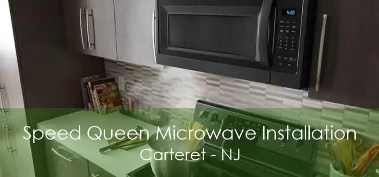 Speed Queen Microwave Installation Carteret - NJ
