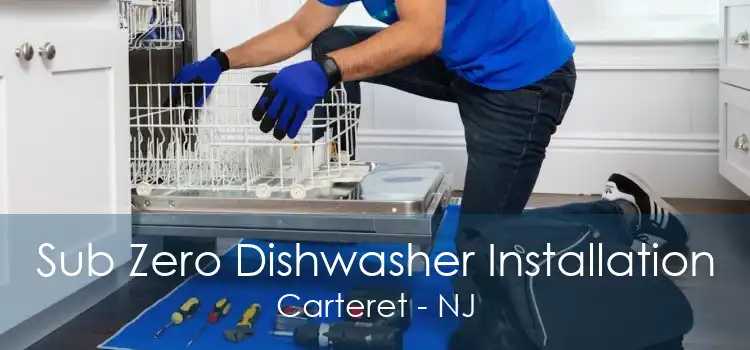 Sub Zero Dishwasher Installation Carteret - NJ
