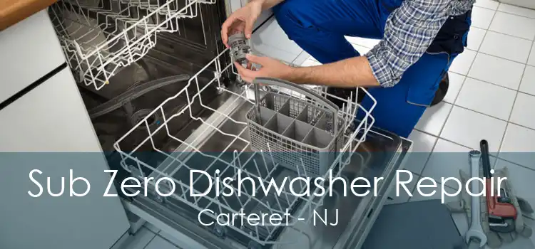 Sub Zero Dishwasher Repair Carteret - NJ
