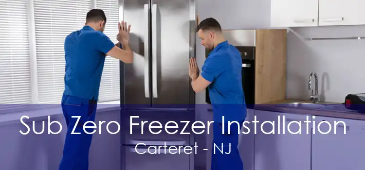 Sub Zero Freezer Installation Carteret - NJ
