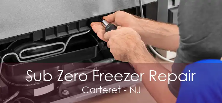Sub Zero Freezer Repair Carteret - NJ
