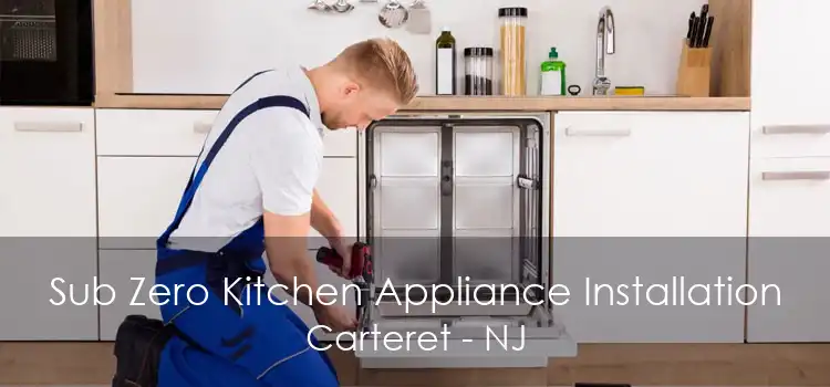 Sub Zero Kitchen Appliance Installation Carteret - NJ