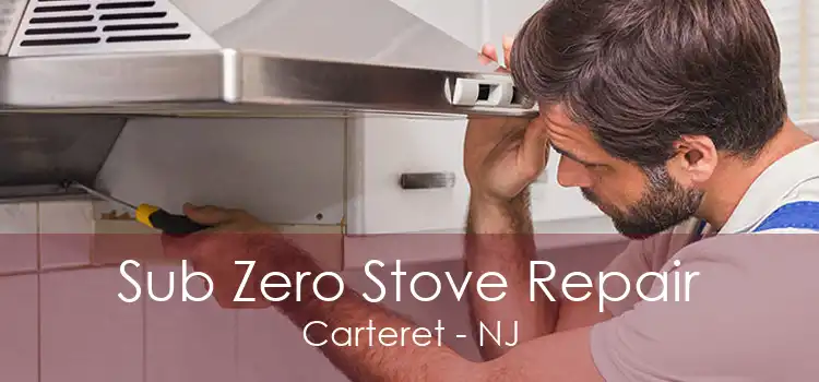 Sub Zero Stove Repair Carteret - NJ