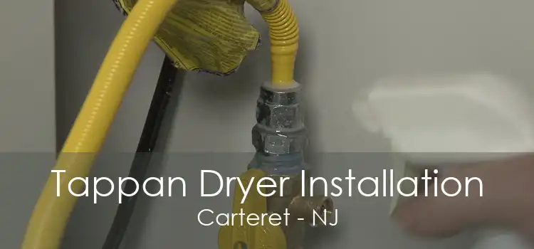 Tappan Dryer Installation Carteret - NJ