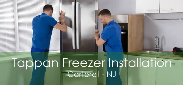 Tappan Freezer Installation Carteret - NJ