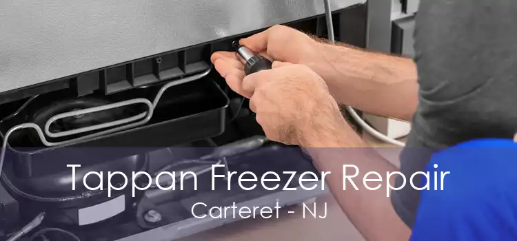 Tappan Freezer Repair Carteret - NJ