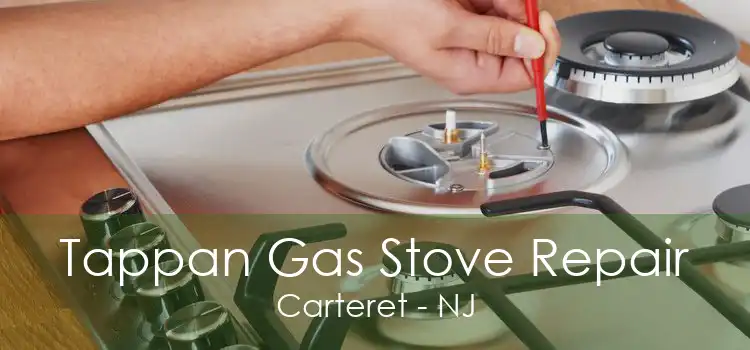 Tappan Gas Stove Repair Carteret - NJ