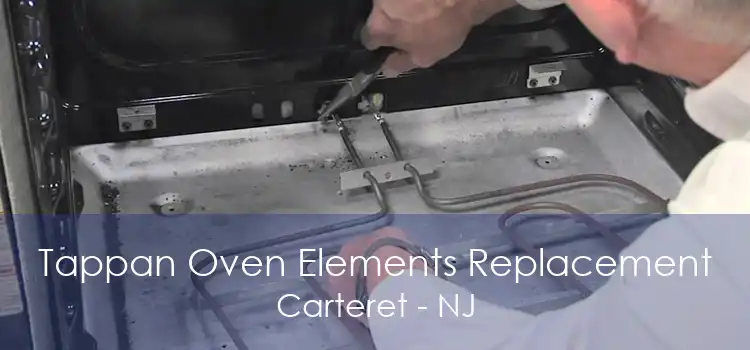 Tappan Oven Elements Replacement Carteret - NJ