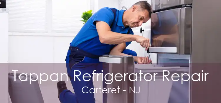 Tappan Refrigerator Repair Carteret - NJ