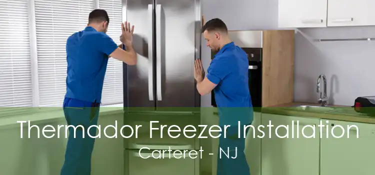 Thermador Freezer Installation Carteret - NJ