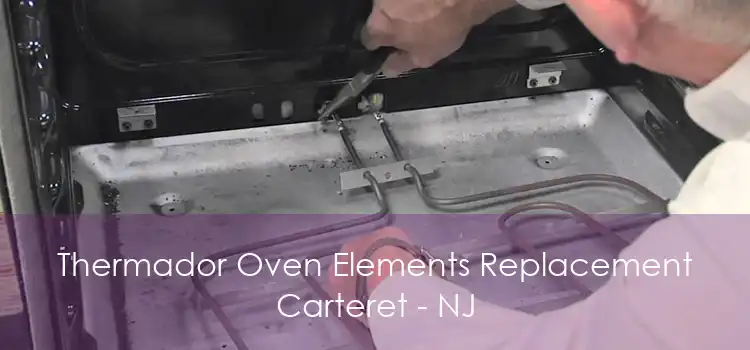 Thermador Oven Elements Replacement Carteret - NJ