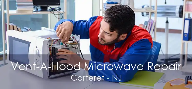 Vent-A-Hood Microwave Repair Carteret - NJ
