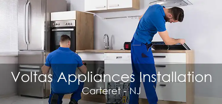 Voltas Appliances Installation Carteret - NJ