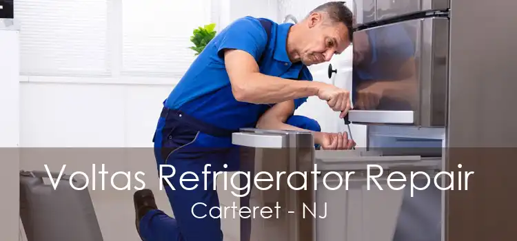 Voltas Refrigerator Repair Carteret - NJ