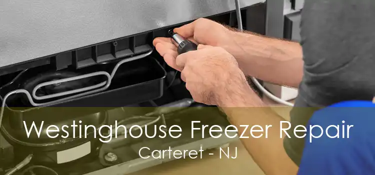 Westinghouse Freezer Repair Carteret - NJ