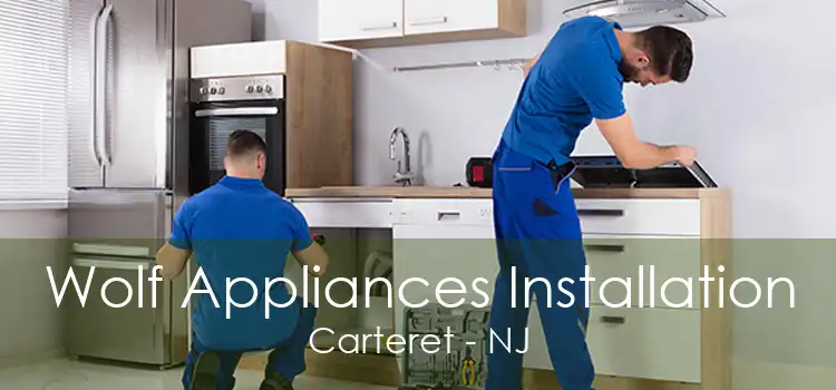 Wolf Appliances Installation Carteret - NJ