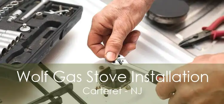 Wolf Gas Stove Installation Carteret - NJ