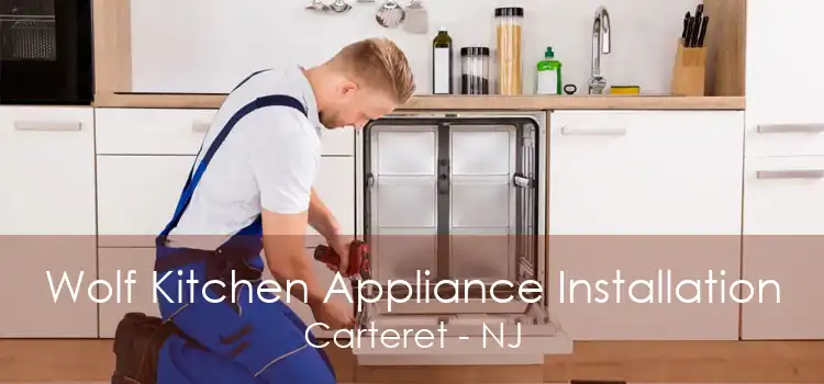 Wolf Kitchen Appliance Installation Carteret - NJ