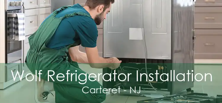 Wolf Refrigerator Installation Carteret - NJ