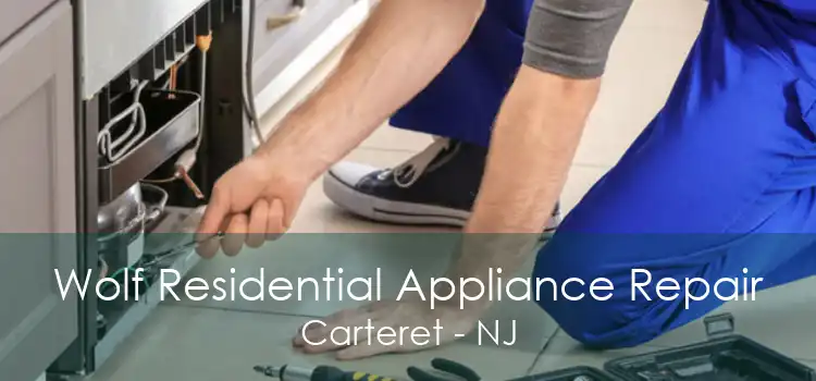 Wolf Residential Appliance Repair Carteret - NJ