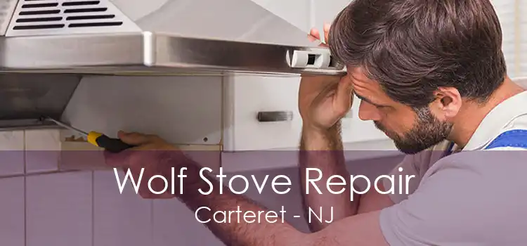 Wolf Stove Repair Carteret - NJ